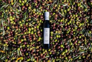 TENUTE PIETRETAGLIATE E REGALBESI - 3