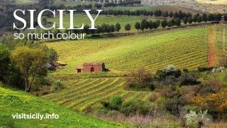 ATTRATTORI CULTURALI E TURISMO - 5